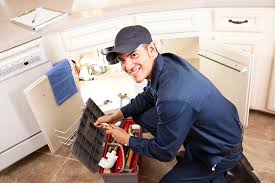 Professional Plumbung Services in Town Line, NY